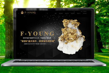 Ƽ�縩�����ﱦʯ